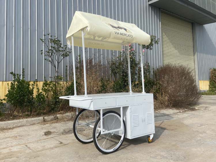 Vendor Push Cart