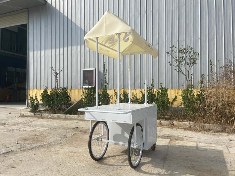 Vendor Push Cart