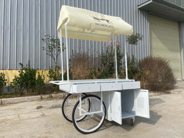 Vendor Push Cart